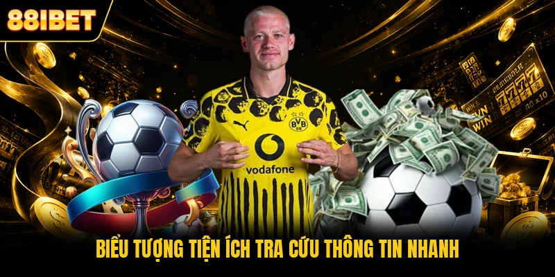 Biểu tượng tiện ích tra cứu thông tin nhanh